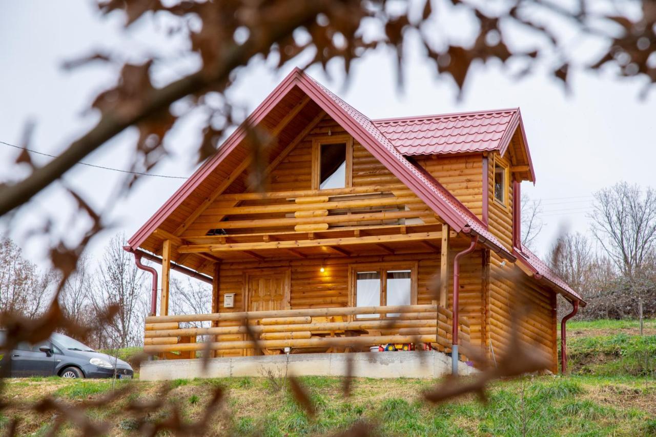 Brvnaria Villa Slatina Varoš Exteriör bild