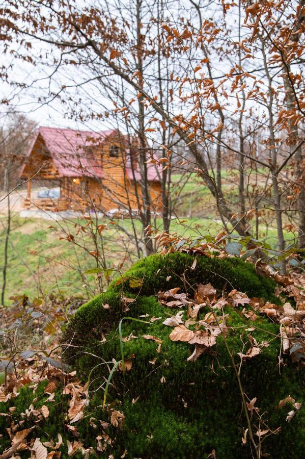 Brvnaria Villa Slatina Varoš Exteriör bild